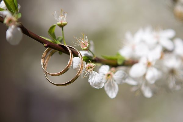 Fonction sociale de l'alliance (bague), échangée lors du mariage.